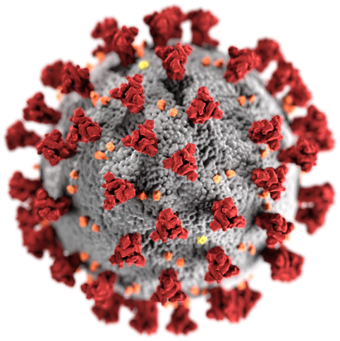 Coronavirus1