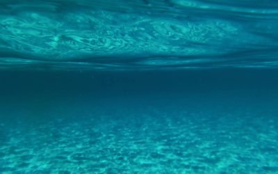 Día Mundial del agua 2019