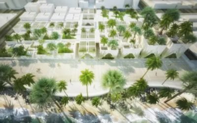 Transparencia y la asignación de obras