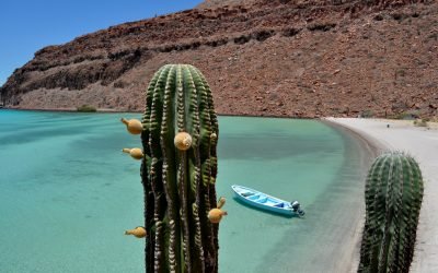 Autorizaciones en materia de usos de suelo