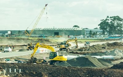 Grieta de opacidad para las obras