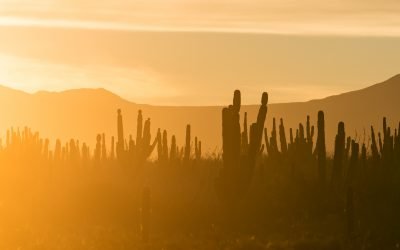 Análisis de parámetros geomecánicos RQD-RMR-GSI de la litología expuesta en la porción NE-SE de la ciudad de La Paz, B.C.S., México.