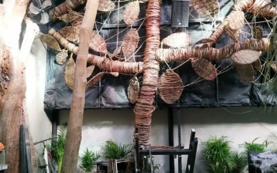 Patrimonio y aislamiento acústico