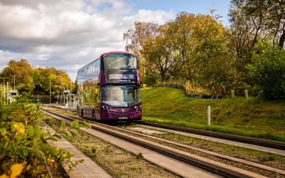 Entre el oropel y la realidad
