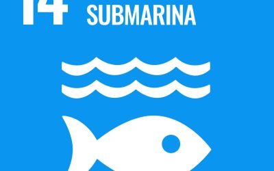 Vida Submarina