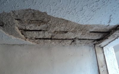 Predios históricos. Ejemplo de dictamen técnico.