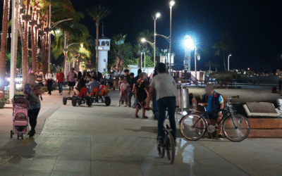 Falta de autoridad vial