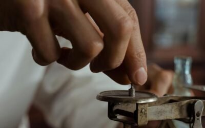 Contrapesos en la sociedad