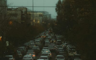 Resiliencia y prevención