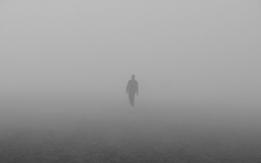 Verdad en tiempos de niebla