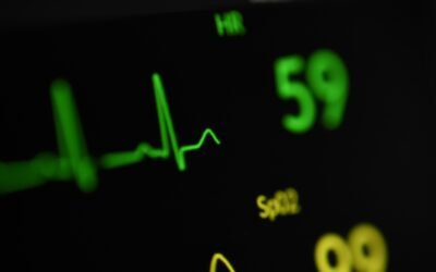 Resucitar un oficio en estado catatónico