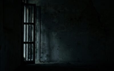 Manual de valentía cívica